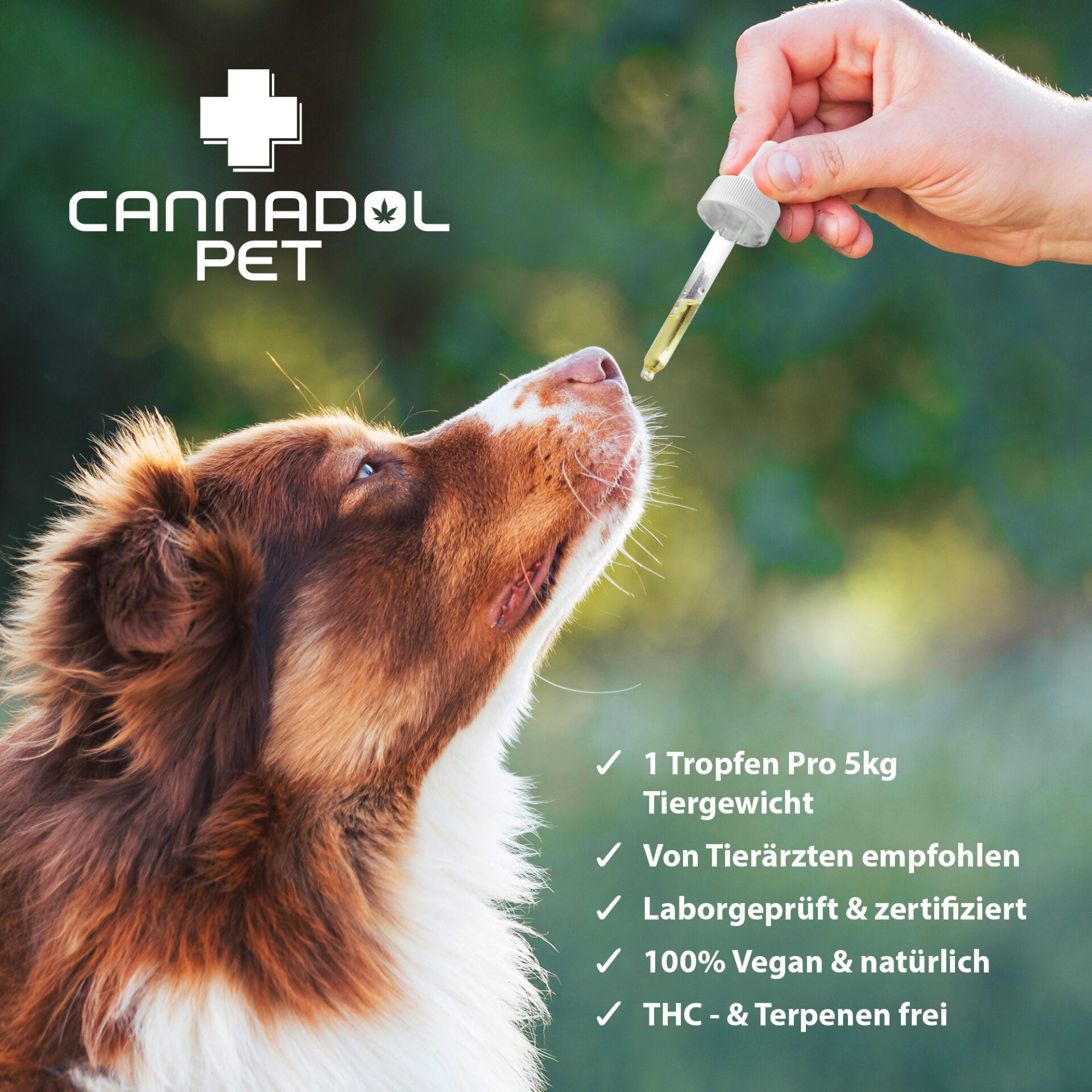 Cannadol CBD Öl Pet Hund 10% 4 Cannadol CBD Öl Pet Hund 10% – Bild 4