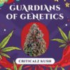 Criticalz Kush – Bild 2